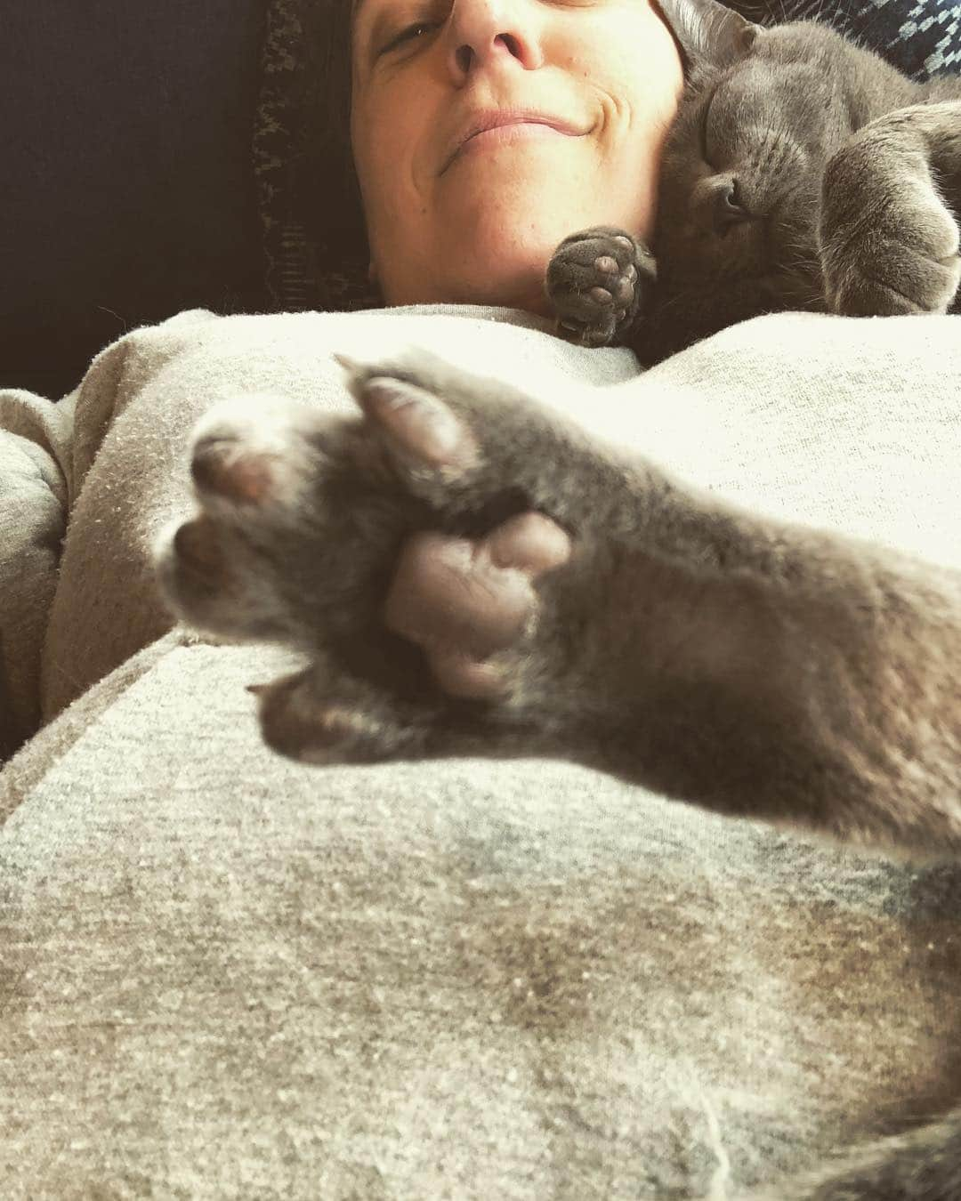 メイム・ビアリクさんのインスタグラム写真 - (メイム・ビアリクInstagram)「Too good not to post. #cattoes #shadow #naptime」4月5日 7時39分 - missmayim