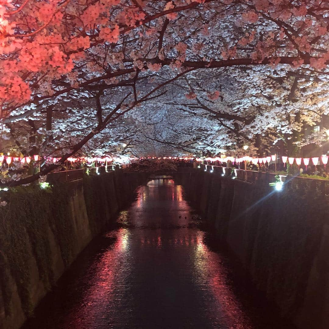 マシ・オカさんのインスタグラム写真 - (マシ・オカInstagram)「#中目黒川 #平成最後の #夜桜」4月5日 7時46分 - masioka