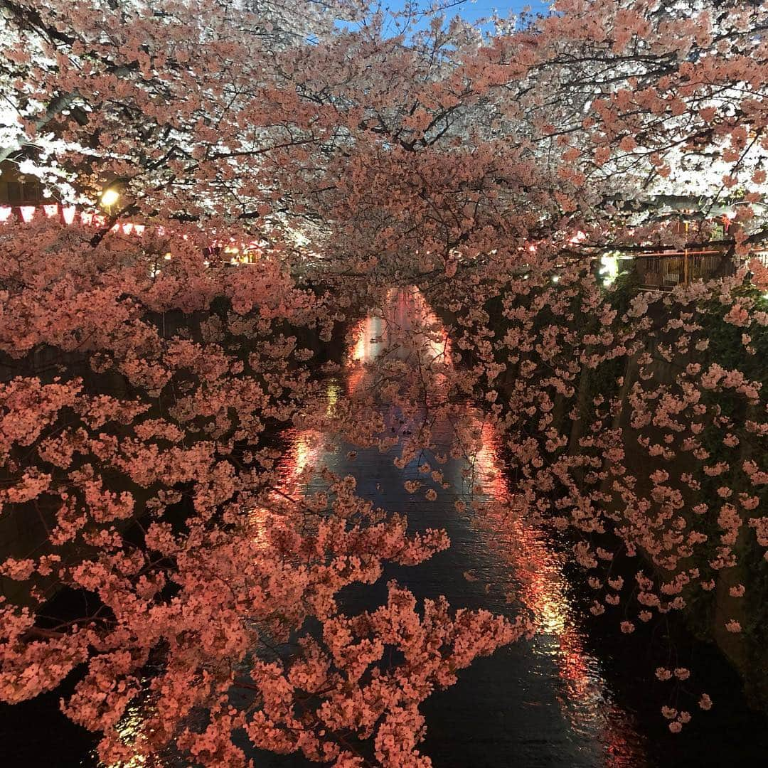 マシ・オカさんのインスタグラム写真 - (マシ・オカInstagram)「#中目黒川 #平成最後の #夜桜」4月5日 7時46分 - masioka