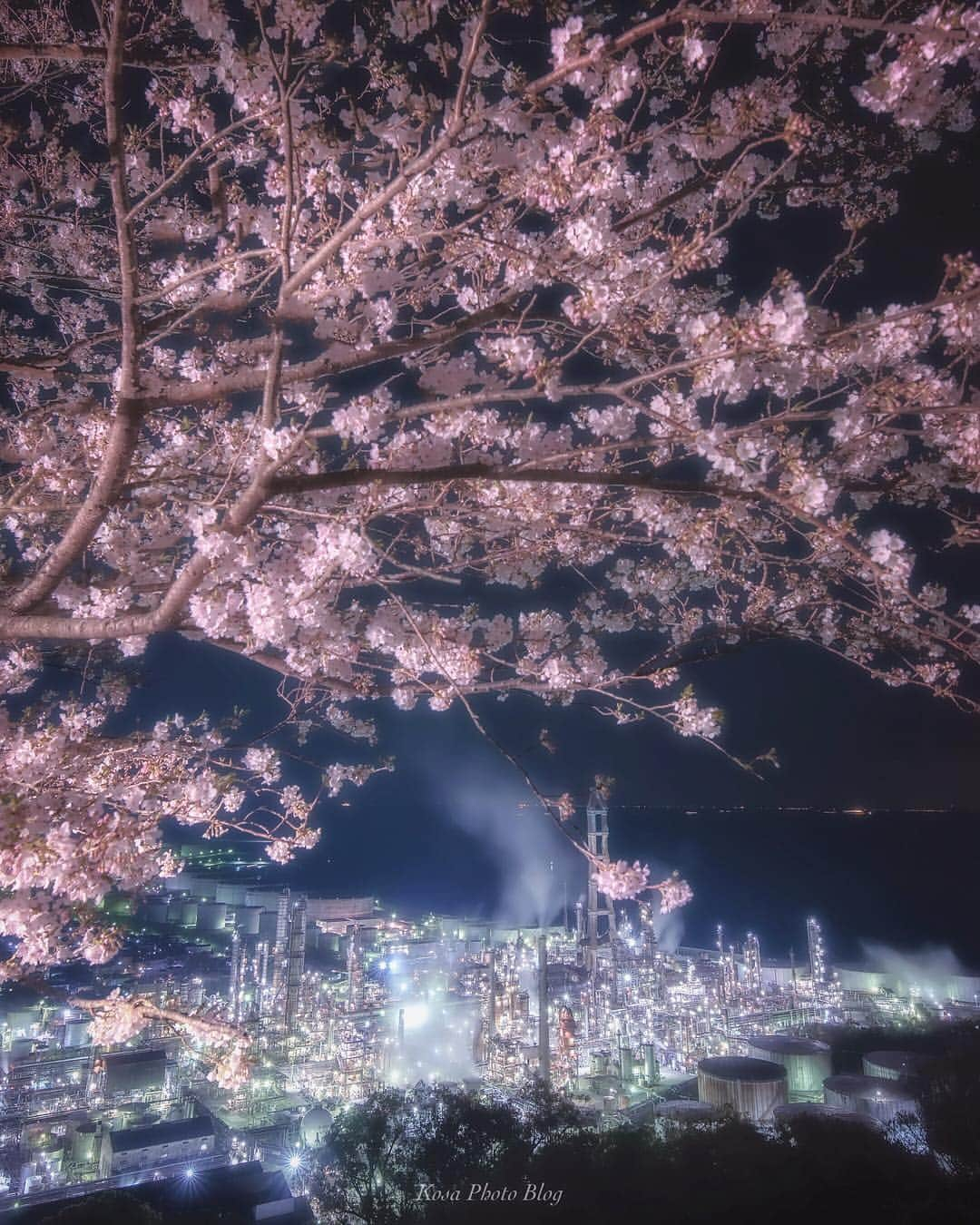 コサさんのインスタグラム写真 - (コサInstagram)「今年もやっぱり外せない東燃桜🌸 工場夜景と桜のコラボはええですね～😆 . Location:和歌山 Wakayama/Japan Data:2019.4.3 . #art_of_japan_ #tokyocameraclub #dpj_member #team_jp_ #IG_PHOS #photo_jpn #ptk_japan #pt_life_ #bestjapanpics #Lovers_Nippon #light_nikon #japan_night_view_member #night_captures #ADDICTED_TO_NIGHTS #super_night_channel #LBJ_members #japan_great_view #Rox_Captures #longexposure_japan #sorakataphoto #マイタムロンレンズ #桜旅のセカイ #LBJ_桜2019 #apj_桜フェス2019 #as_桜2019 #team_jp_春色2019 #グッドトリップ和歌山 #はなまっぷ #nipponpic_anniversary2019 #あえてシェア  使用レンズ：A012/希望レンズ：A043」4月5日 7時54分 - kosa_photo