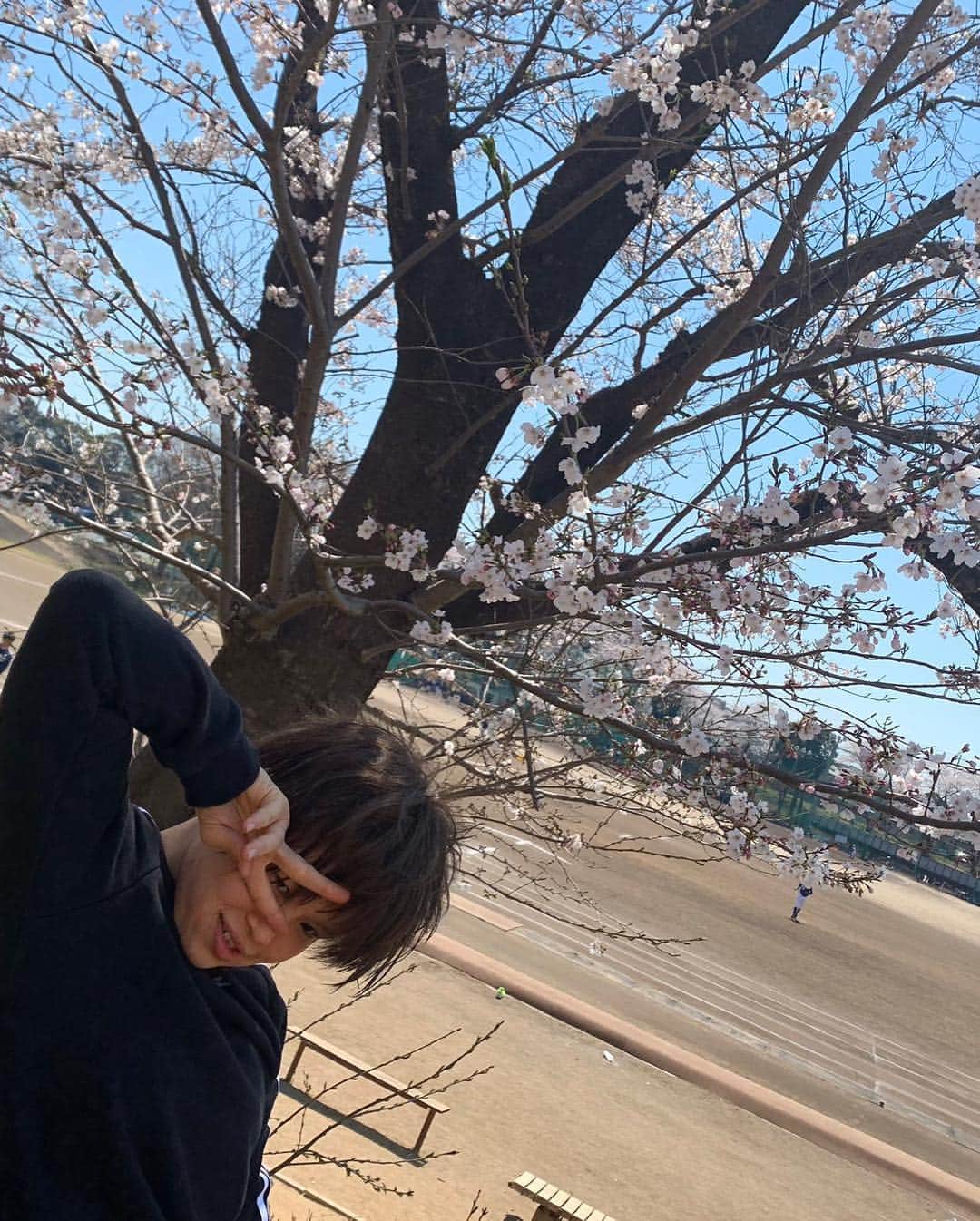 植草歩さんのインスタグラム写真 - (植草歩Instagram)「高校でも桜が綺麗だった🌸 Y字バランス固くて出来なかった🤣 川村はお腹空いたって🐨🐨🐨 あーちんギャルピース👱🏻‍♀️✌🏻️💓 #桜  #Y字バランス」4月5日 8時02分 - ayayumin0725