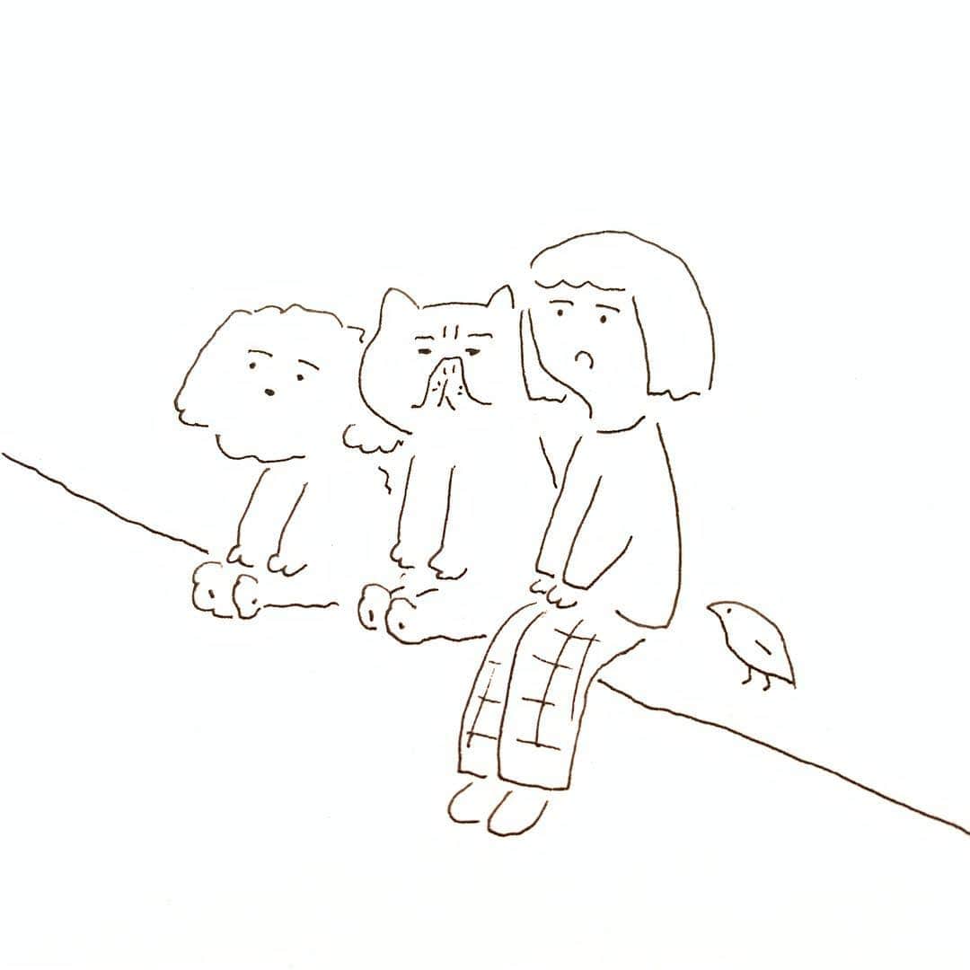 ハルペイさんのインスタグラム写真 - (ハルペイInstagram)「🚃 クリエイターEXPO、3日目にして、 ギリギリじゃないかんじで出発〜！ #えらいでしょ #学びました #荷物は激おもだけど  明日のんびりすることを夢みて、今日はがんばりまーす😊✨ 今日もたくさんお話できますように🙏✨ .  #harupei#doodle#draw#drawing#illustrator#illustration#japan#絵#雑貨#湘南#イラスト#イラストレーター#ゆるいイラスト#ゆるい#ゆるかわ #茅ヶ崎#クリエイターEXPO#クリエポ#デザイナーゾーン」4月5日 8時17分 - harupeipei