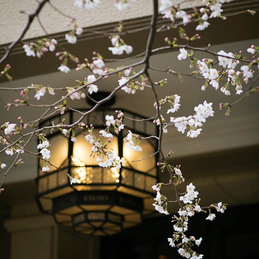 FORTUNE GARDEN KYOTOのグルメインスタ