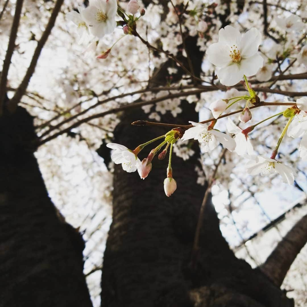 newotani_osakaのインスタグラム