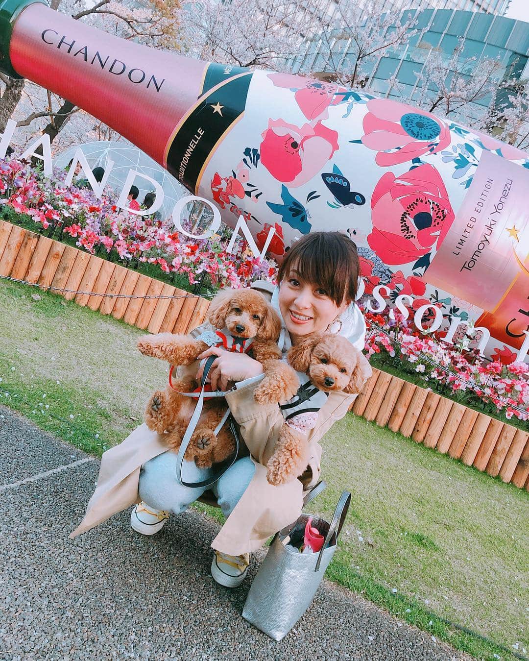 渡辺美奈代さんのインスタグラム写真 - (渡辺美奈代Instagram)「リルとミニー一緒にミッドタウン  #お花見」4月5日 9時12分 - watanabe_minayo