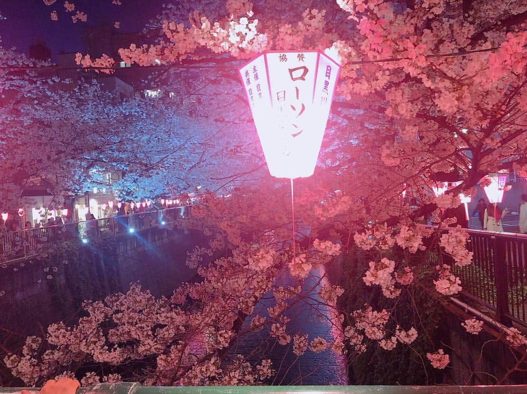 阿部桃子さんのインスタグラム写真 - (阿部桃子Instagram)「ローソン  #写り込み #加工なし #ライティング」4月5日 9時26分 - abemomoko_official