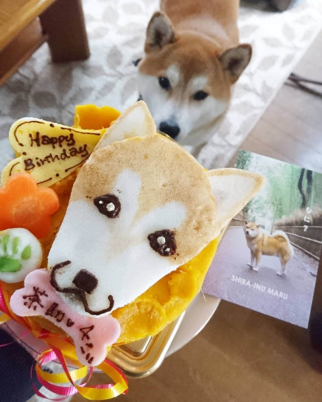 柴犬⭐️サスケさんのインスタグラム写真 - (柴犬⭐️サスケInstagram)「誕生日だわん🐶 #4月5日#生まれ#誕生日#男の子#4歳#🎂#食べるのに必死#ブレブレ#想定内#前撮りしといてよかった#少しは落ち着いてください#プレゼントは#イソップ#シャンプー#父ちゃん母ちゃんからは#トリミングと温泉代#茶助は嬉しくない#嬉しいのは私だけ#おめでとう」4月5日 9時29分 - shiba20150405