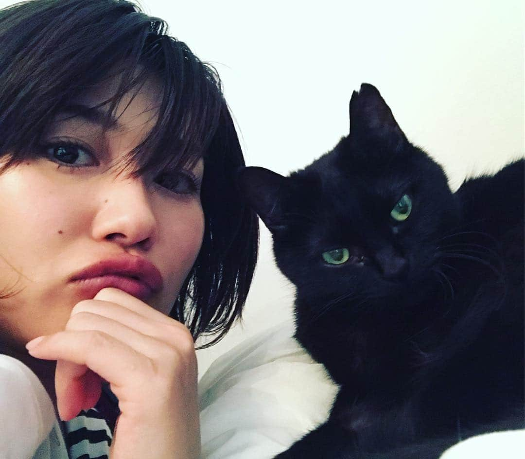 秋吉織栄（宮内かれん）さんのインスタグラム写真 - (秋吉織栄（宮内かれん）Instagram)「#カールラガーフェルド #tシャツ  #cat  #猫  #猫好きな人と繋がりたい  今日は久々に暖かいので☀︎ Tシャツです♪♪ なかなか舞台稽古で投稿頻度が減ってしまってますが、みんなと頑張っています‼︎ 昨日は少し深い話もできたし、どんどん壁を越えて行けたらなと思います❣️❣️ シルヴィアと小次郎にはまた寂しい思いをさせちゃうけど☺︎💦 がんばるからね👵❤︎❤︎❤︎ 舞台 『恋ばば十四歳!』 公式URL  http://urx2.nu/0cVQ ◇ ストーリー  87 歳の汐原静江は、ごく普通のお婆ちゃん。家族と共に穏やかに暮らしていた。 ある日、彼女は鏡の中に映し出される自分を見て驚いてしまう。14 歳の自分がいた。 外は雨、「あの日」と同じ、雨粒が流れていた。 14 歳の姿で孫の弘夢に連れ出された静江は、芸能プロダクションのマネージャー・輝貴に恋してし まう。73 年前の決して叶うことのない初恋の相手、謙太朗その人にそっくりだから。 そしてなんとアイドルとしてデビューすることになるが、雨の日にしか活躍できない。 それでも静江は、アイドルとしての道を進むのか?!静江の運命はどうなってしまうのか?! 劇場: HOPE(中野) 日程:2019 年5月2日(木)~5月6日(月)  晴チーム☀️出演となります！ 3日(金)14:00 4日(土)14:00 5日(日)12:00、19:00 6日(月)15:30  チケット料金(自由席) 一般 前売:4,000 円/当日:4,500 円  高校生以下  前売:3,500 円/当日:4,000円 (※高校生料金:高校生以下の方。会場にて学生証をご提示頂きます。) Livepocket予約 http://urx3.nu/W9dm 希望日時、必答のアンケート欄でキャストのをお選び下さい♪ ↑クレジットカード、コンビニ決済、キャリア決済（スマホのみ）でのお支払い可能。  こりっち予約 http://urx3.nu/Fw76  #舞台  #恋ばば十四歳」4月5日 9時30分 - orie.oliiiiie.olivia