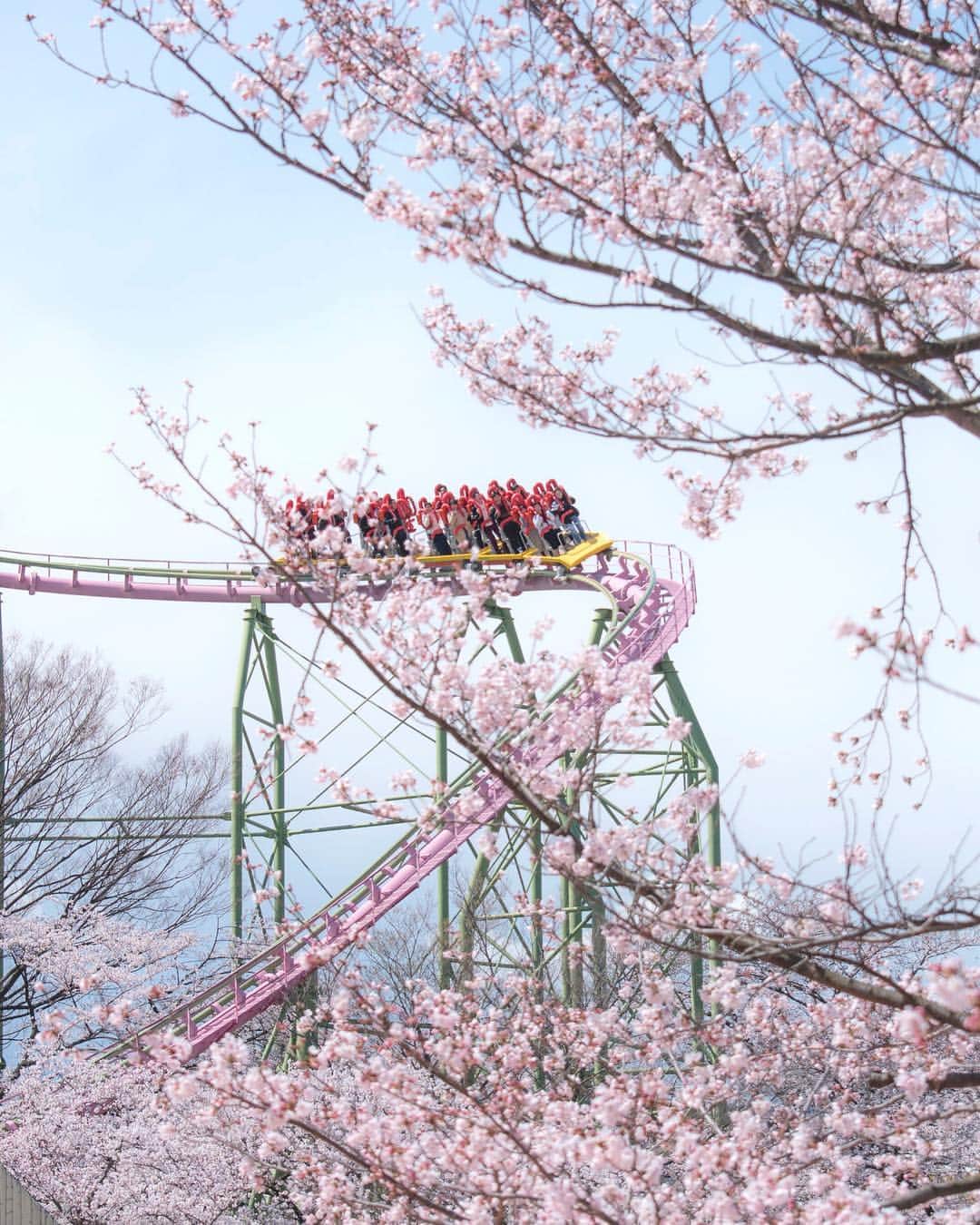 よみうりランドさんのインスタグラム写真 - (よみうりランドInstagram)「【アトラクション紹介】ループコースターMOMOnGA 乗り物好きの方は、ループコースターMOMOnGAに乗って、園内の満開の桜をご堪能ください！ 【 Attractions 】 Loop coaster MOMOnGA If you are a vehicle enthusiast, ride the Loop Coaster MOMONGA and enjoy the park’s cherry blossoms in full bloom!  #よみラン春のフォトコン #よみうりランド #東京 #Tokyo  #Japan #amusementpark #イルミネーション #ジュエルミネーション #jewellumination  #遊園地 #休日 #小旅行 #女子旅  #観光スポット #観光地 #instagood #インスタ映えスポット #宝石イルミ #いいねしてね #海外旅行大好き #桜 #よみうりランド桜情報 #桜満開 #flowers #花 #春 #花見 #Cherryblossoms #サクラ」4月5日 9時31分 - yomiuriland