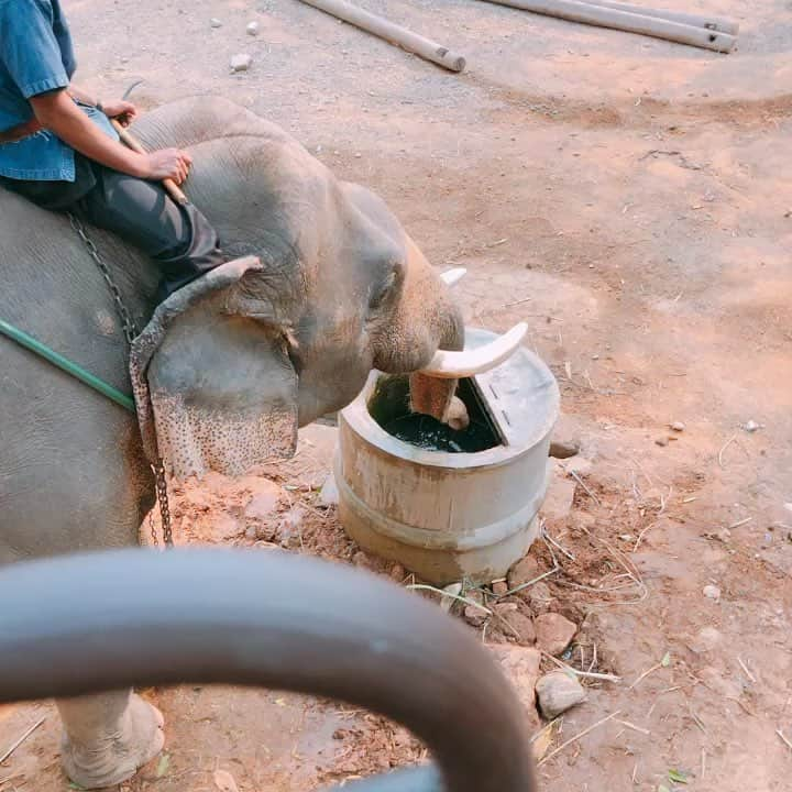 佐藤綾衣のインスタグラム