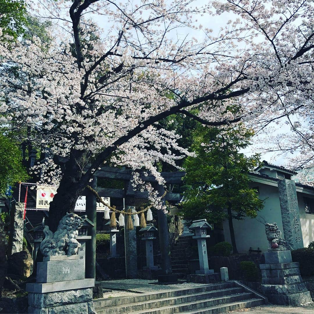 村主章枝さんのインスタグラム写真 - (村主章枝Instagram)「Flowers are blooming a lot in Japan and make my running lots of joy. my first marathon is on this weekend at Niigata! 花が沢山咲いていて、走っていて幸せです。 いよいよ、日曜、新潟のマラソン大会です。10kmですが、初マラソン🏃‍♀️ 頑張ります #初マラソン  #桜」4月5日 9時45分 - fumie.suguri