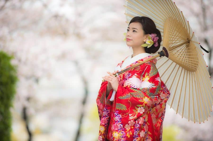 TANAKA SAKi 田中紗貴さんのインスタグラム写真 - (TANAKA SAKi 田中紗貴Instagram)「⋆ そろそろ桜も見頃🌸 満開の桜見ると思い出す… 二年前の嵐の中の前撮り🍃🌪笑 . 👘 @sakura929 . 🎞 @photographer_shiomi 💄 @ayakoba . .  #前撮り#結婚式前撮り #和装#色打掛#洋髪 #生花#シンビジウム #桜#モデル#田中紗貴」4月5日 9時52分 - sakiwo.523