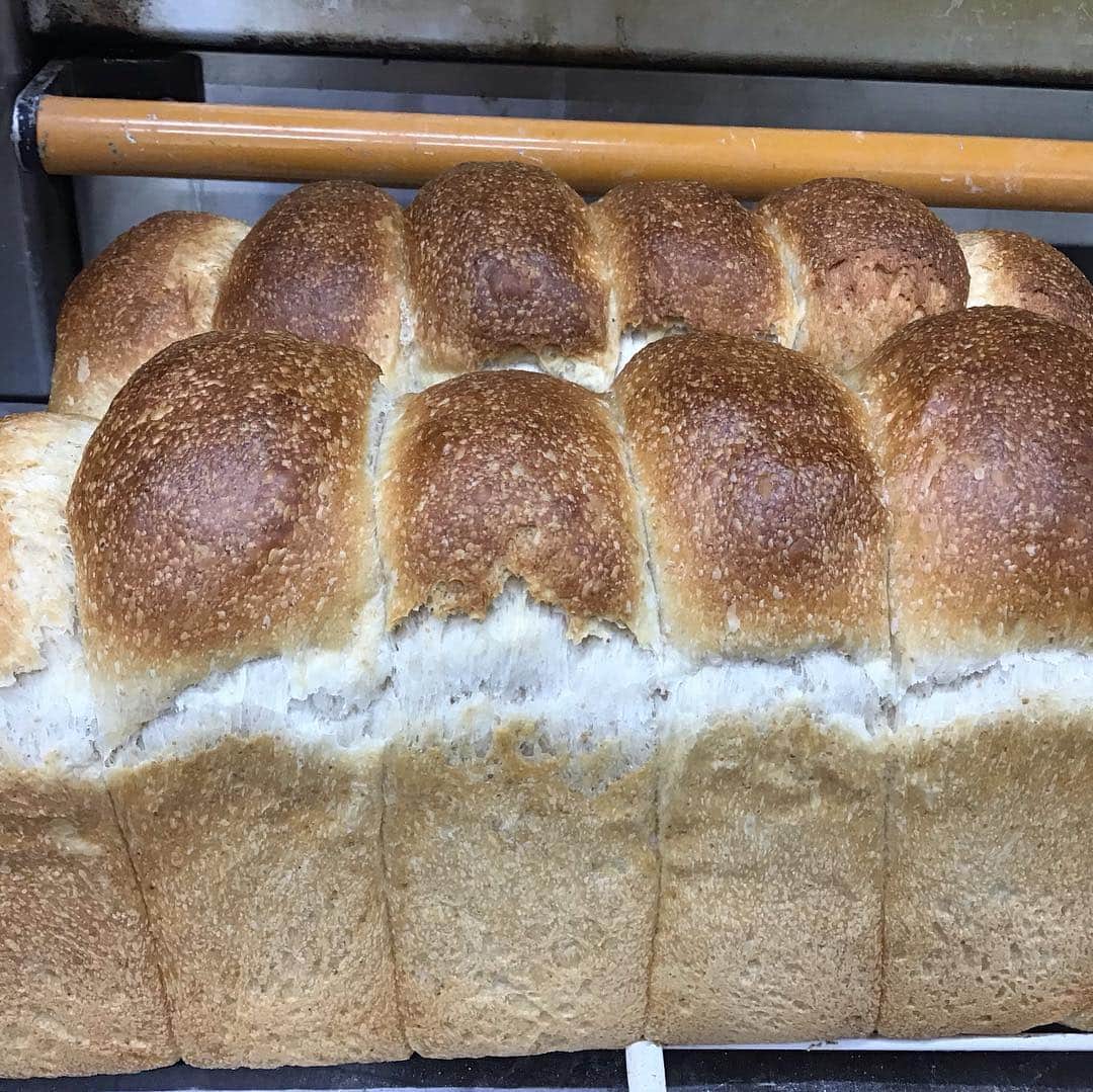 魔女菅原のグルメインスタ