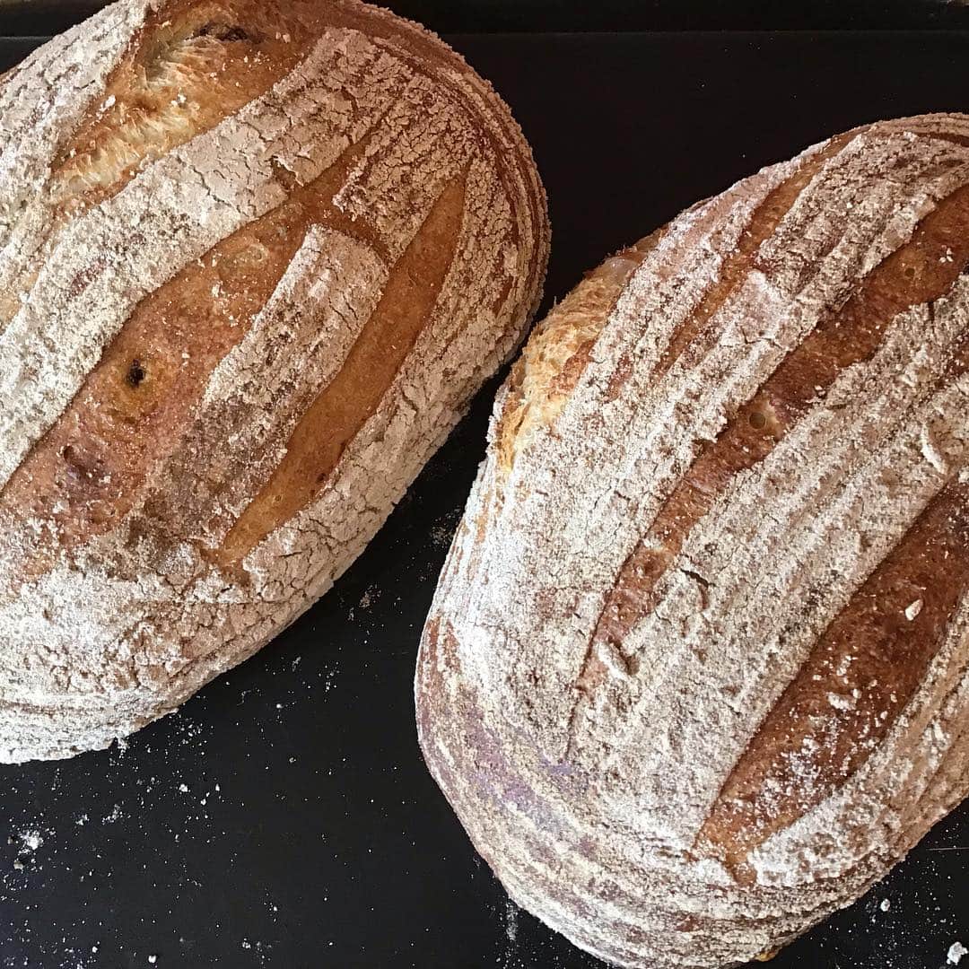 魔女菅原のグルメインスタ