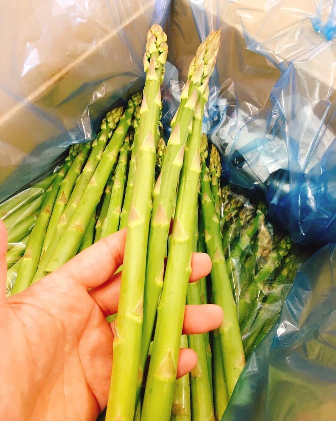 【元祖串焼き】''串タロー''公式アカウントのグルメインスタ