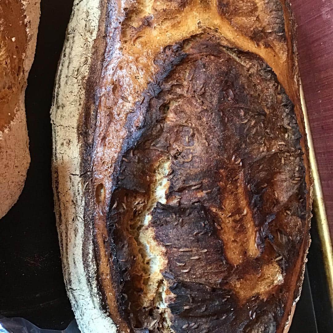 魔女菅原のグルメインスタ