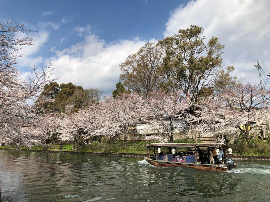 加藤順大さんのインスタグラム写真 - (加藤順大Instagram)「おはようございます。 京都は桜が綺麗です〜☺️ 次の試合の為に今日もしっかりトレーニング頑張ります！！ 大事な事はブレずに続ける事！！ #桜 #sakura #日本 #japan」4月5日 10時20分 - nobuhiro1