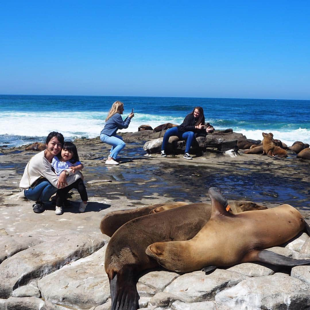 香山ひとみさんのインスタグラム写真 - (香山ひとみInstagram)「#アメリカ生活国内旅行編 San Diego  週末を利用してサンディエゴへ。 一言でいうと、大好きな街になった😭💕 . こんなに幸せが詰まった、 ワンダータウンがあるのかというくらい！ すぐそこに、綺麗なビーチ・たくさんの自然と生き物たち。 車で20分あれば大体どこでも行けちゃうコンパクトさ。 買い物もできるし、食べ物もすごく美味しい。 都会のような華やかさはないけれど、毎日を幸せに過ごす場所に、きっとこれ以上のものはいらないんだと感じる（なんか大げさ笑）、 本当にいいところでした🤤💛 . ちなみに最後の動画は、シーワールドのシャチのショー。 かなりワイルドで ショーというよりアトラクションのような悲鳴が聞こえる🤣、 ダイナミックでアメリカらしいショーでした🤣🤣🤣 . . #サンディエゴ #ラホヤコーブ #マウントソルダッド#ソルダッド山 #シーワールドサンディエゴ #オールドタウン #サンセットクリフス #サンディエゴ旅行 #lajollacove #mountsoledad #seaworldsandiego #oldtown #sunsetCliffs #SanDiego #SanDiegoTrip . #海外生活 #アメリカ生活 #子連れ旅行 #子連れ海外旅行 #カリフォルニア州  #americalife #Californiallife」4月5日 10時14分 - hitomi.k24