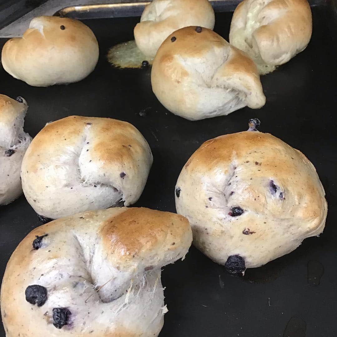 魔女菅原のグルメインスタ