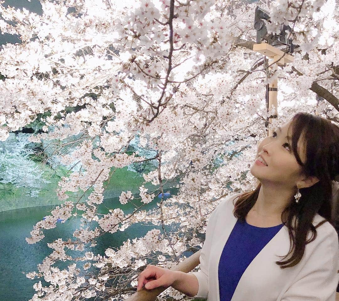 楪望さんのインスタグラム写真 - (楪望Instagram)「新年度になって、あっという間に5日目📛 * 新元号も発表されて、新しい時代へのカウントダウンも始まりました🗓 * 気が付けば、東京の桜も満開を迎え、本格的な春を感じる日々🌸🌸 * ここ最近、節目のニュースが多いので、職業柄ちょっとバタバタ気味の日が続いていますが、冥利に尽きるな〜と☺️✨ この瞬間にいられること。 ありがたいものです🙇‍♀️✨✨ * 先日は仕事終わりに千鳥ヶ淵の桜並木へ、ふらりっと🐈🐾 癒されてきました♪ * 令和の幕開けまで、約1ヶ月🌅 * 平成のラストスパート💨 そして、令和時代も。 どうぞよろしくお願いします🐰🤲 * #新年度 #スタート #平成 #令和 #新元号 #4月 #社会人10年目 #アナウンサー #まだまだ頑張ります #千鳥ヶ淵 #桜 #お花見 #🌸 #🌅」4月5日 10時52分 - nozomi_yuzuriha_official
