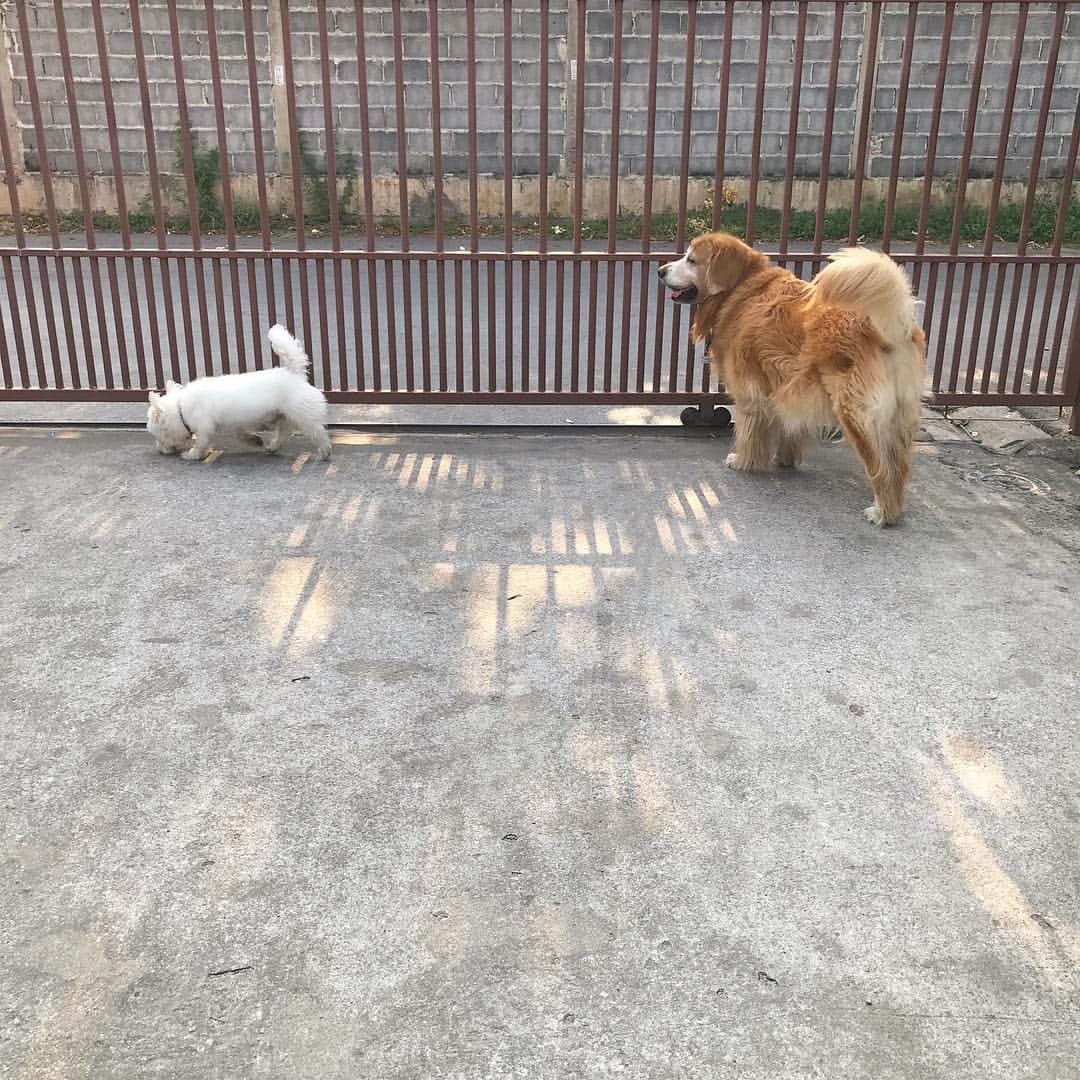 Hoykong&Plamuekのインスタグラム：「Happy Friday ❤️ #hkpm」