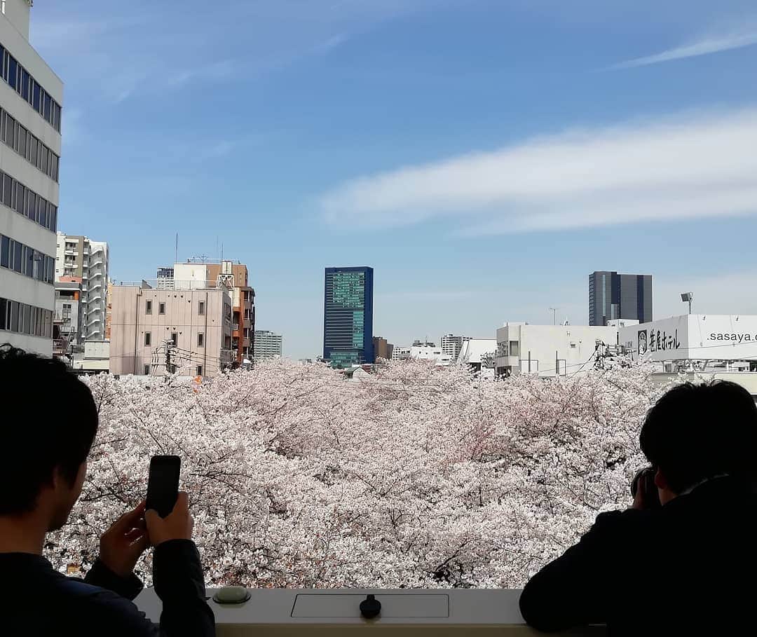千種ゆり子さんのインスタグラム写真 - (千種ゆり子Instagram)「【4/5千種ゆり子の空てんき】 ありがとう花冷え。 . たくさん桜スポットに行ける。 . 去年とは大違い。 . 今年の春は最高だ。 . #中目黒 #目黒川 #目黒川の桜 #ソメイヨシノ #やっぱり #大好き #桜 #桜満開 #さくら #サクラ」4月5日 10時36分 - chikusa_yuriko