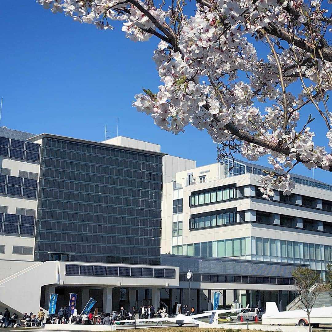 法政大学さんのインスタグラム写真 - (法政大学Instagram)「小金井キャンパスの桜もきれいに咲いています。中庭では新入生歓迎会が開催されています。  #法政 #大学 #hosei #university #桜 #小金井 #キャンパス #campus #cherryblossom #bloom #bluesky #hoseiblue」4月5日 10時42分 - hosei_university