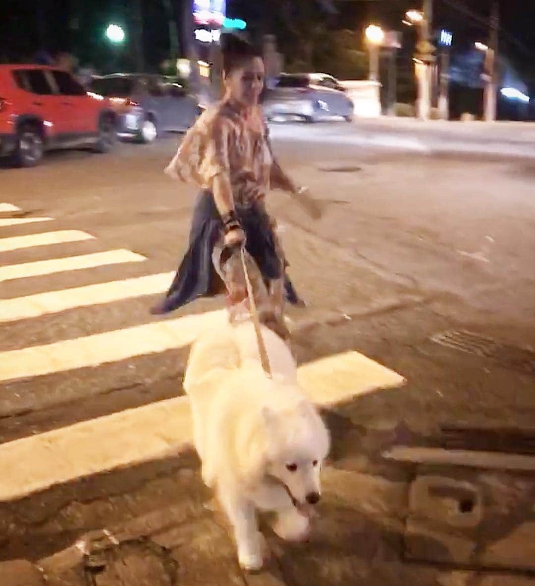アドリアーネ・ガリステウさんのインスタグラム写真 - (アドリアーネ・ガリステウInstagram)「O Boris me levando passear... 😆😁😄😃😀😆😂😅 @petlife_vetmorumbi ele tá tão cheiroso.... ❤️」4月5日 10時47分 - galisteuoficial