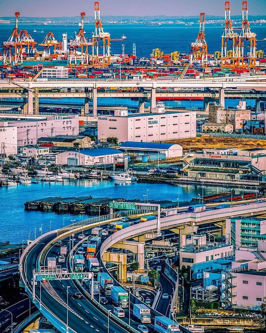 横浜市さんのインスタグラム写真 - (横浜市Instagram)「High off the Yokohama spring weather. Photo: @photographer_tomo #myyokohama」4月5日 20時32分 - findyouryokohama_japan