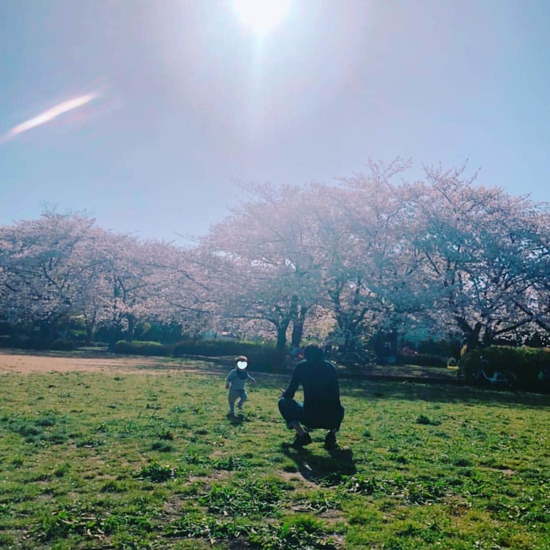 保田圭さんのインスタグラム写真 - (保田圭Instagram)「家族でお花見♡パパっ子の息子、嬉しそうでした。 #ブログもご覧ください」4月5日 20時40分 - keiyasuda1206