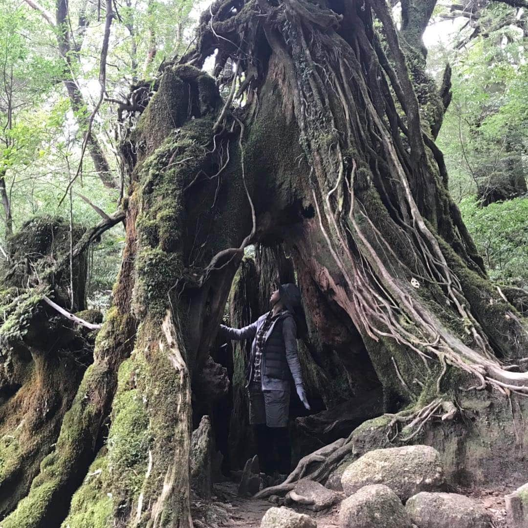 ありす & まりあさんのインスタグラム写真 - (ありす & まりあInstagram)「Yakushima 🦌 * 友人が移住した屋久島に上陸…ヤクシカ♡ *」4月5日 20時40分 - riesato.16