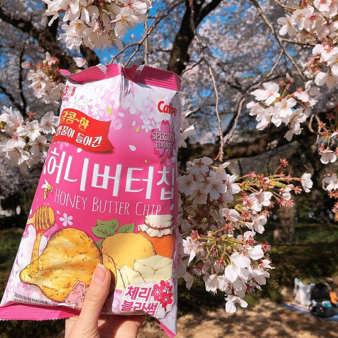 のインスタグラム：「🌸インスタライブ オフショット🌸﻿ ﻿ ﻿ インスタライブでご紹介した﻿ 食べ物編オフショットです🤤🍱🥤﻿ ﻿ ﻿ お弁当とお菓子はスキンガーデン1階の﻿ チョンガーネで購入していただけますよ💓﻿ ﻿ チョンガーネではお菓子からカップラーメン、﻿ お弁当や調味料など韓国食材がとっても豊富なので﻿ スキンガーデンと一緒に是非行ってみてください😍﻿ ﻿ タピオカは今年の2月にオープンしたTEPPAN TAPIOca-feで黒糖タピオカミルクティーを購入しました🥰﻿ こちらは鉄板の上でタピオカと黒糖を混ぜ合わせる 新感覚タピオカ🤩﻿ 是非皆さんもお試しくださいませ😘✨﻿ ﻿ ﻿ #skingarden #スキンガーデン #新大久保 #신오쿠보 #韓国 #韓国メイク #韓国コスメ #メイク #コスメ #한국화장품 #한국메이크업 #메이크업 #코스메틱 #花見 #お菓子 #과자 #허니버터칩 #빼빼로 #허니버터믹스넛  #g9skin #berrisome #elishacoy #日韓 #좋아요 #instagood #beauty #cute」