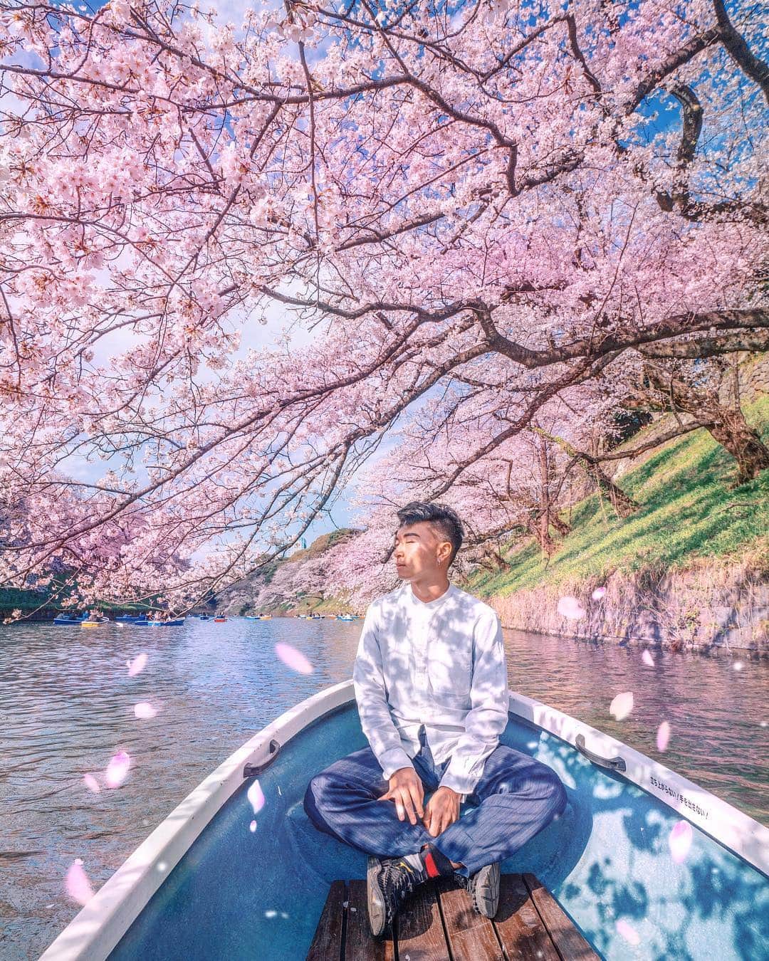 樂さんのインスタグラム写真 - (樂Instagram)「東京。千鳥淵櫻花🚣🌸 #Japan #tokyo #sakura 來來來再來一個夢寐以求的櫻花滑船照，這也是我們這次去東京一定要拍到的景之一！ 在櫻花樹下滑船真的超美超浪漫，可以在船上一整天都不是問題🌸 滑船需要排隊（我們排了一小時，一艘船半小時800日幣一小時1600日幣，時間為9:30-20:00。」4月5日 20時46分 - ygt1016