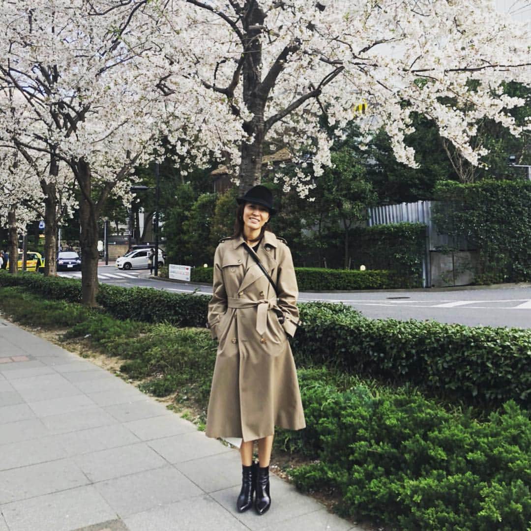 安蘭けいさんのインスタグラム写真 - (安蘭けいInstagram)「桜がまだ咲いてくれてる🌸 嬉しいな💕💕💕 #ミュージカルハル  #赤坂アクトシアター  #絶賛上演中 #今月14日まで  #桜大好き #お花見したいな 🌸」4月5日 20時47分 - toko_aran