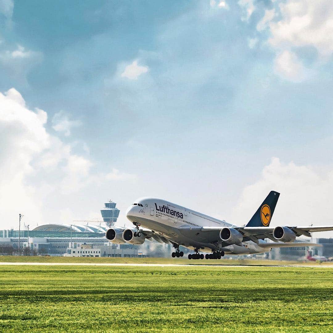 Osaka Bob（大阪観光局公式キャラクター）さんのインスタグラム写真 - (Osaka Bob（大阪観光局公式キャラクター）Instagram)「There's a new direct flight out of Kansai International Airport! Lufthansa flies directly between KIX & MUC (Munich) every day now✈️ LH742&LH743 . 大阪（KIX）⇔ミュンヘン（MUC）の毎日直行便が就航！ 観光にお仕事に乗り継ぎに、いっぱい乗ってや～♪ 関西国際空港「ルフトハンザドイツ航空 LH742＆743便」３月31日～ . #KIX #関空 #withOsakaBob #OSAKA #maido」4月5日 20時53分 - maido_osaka_bob