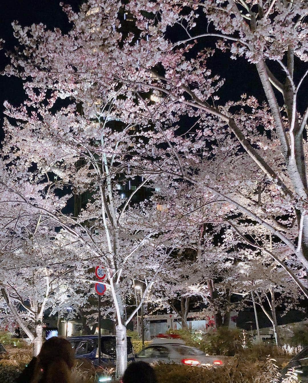 田中菜津美さんのインスタグラム写真 - (田中菜津美Instagram)「花見なんてしちゃうお年頃🌸💕 . 夜って写真難しくて画質悪め… . #桜 #花見 #夜桜 #風景 #景色 #綺麗 #花 #インスタ映え #春 #令和」4月5日 21時00分 - natsumitanaka_0810