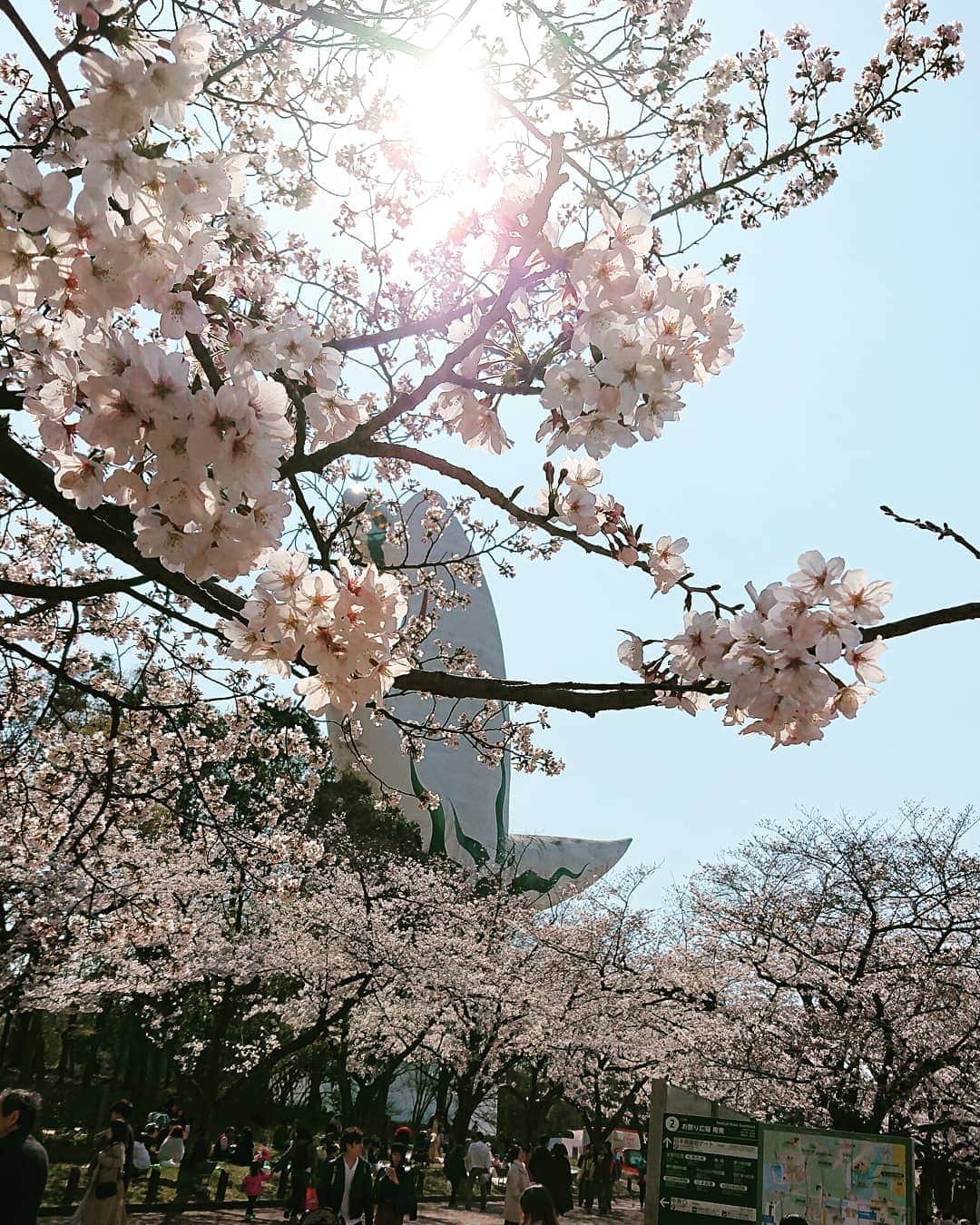 アーキ ホームライフさんのインスタグラム写真 - (アーキ ホームライフInstagram)「こんにちは😊 千里万博記念公園に行って来ました🐾  天気も良く絶好のお花見日和で桜がとっても綺麗でした🌸 万博公園にお越しの際は是非千里の展示場にもお越しください！(ツネモト)  #千里万博記念公園 #ホームライフ #homelife #アーキホームライフ #おしゃれな家 #こだわりの家 #home #house #family #桜  #花見 #太陽の塔 #🌸 #千里 #和泉 #福知山 #舞鶴 #豊岡 #加東 #加古川 #姫路 #はじめての家づくり #自然素材 #無添加」4月5日 21時00分 - archihomelife_after