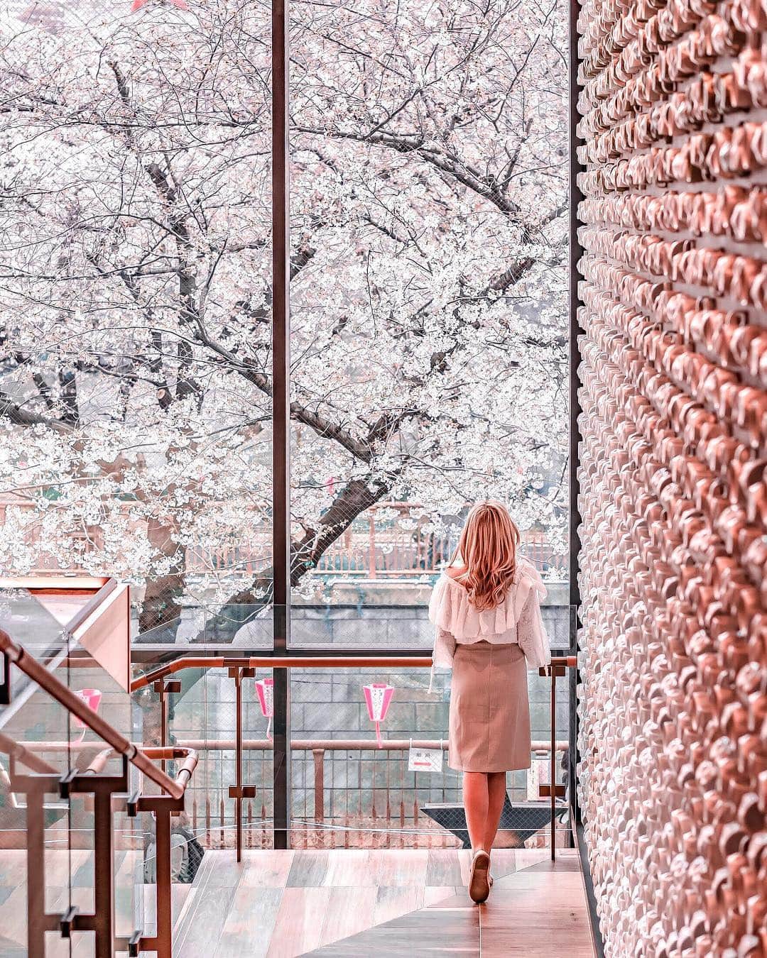 Stella Leeのグルメインスタ