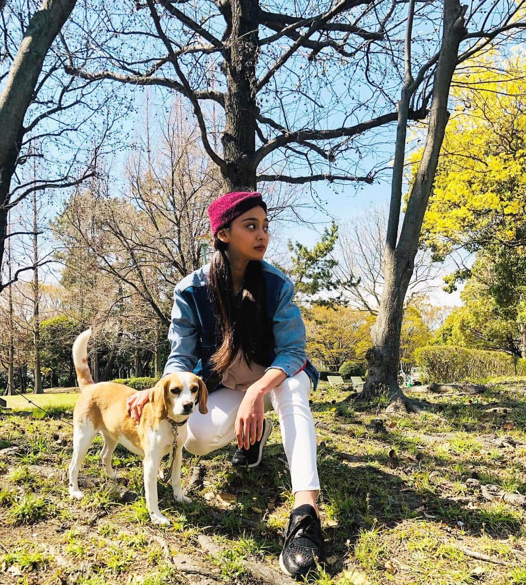 遊海 Yuumiさんのインスタグラム写真 - (遊海 YuumiInstagram)「Spring 🌸 pink trees makes me feel like in fairy land 🌸 feel it #visitjapan #japan #spring #sakura #beatiful #pink #picnic #ピクニック」4月5日 21時34分 - yuumi_kato