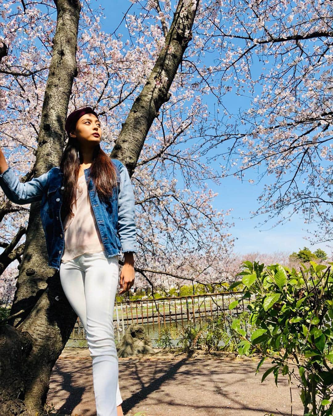 遊海 Yuumiさんのインスタグラム写真 - (遊海 YuumiInstagram)「Spring 🌸 pink trees makes me feel like in fairy land 🌸 feel it #visitjapan #japan #spring #sakura #beatiful #pink #picnic #ピクニック」4月5日 21時34分 - yuumi_kato