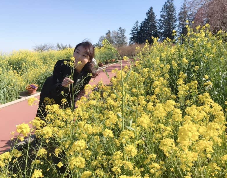 若井久美子のインスタグラム
