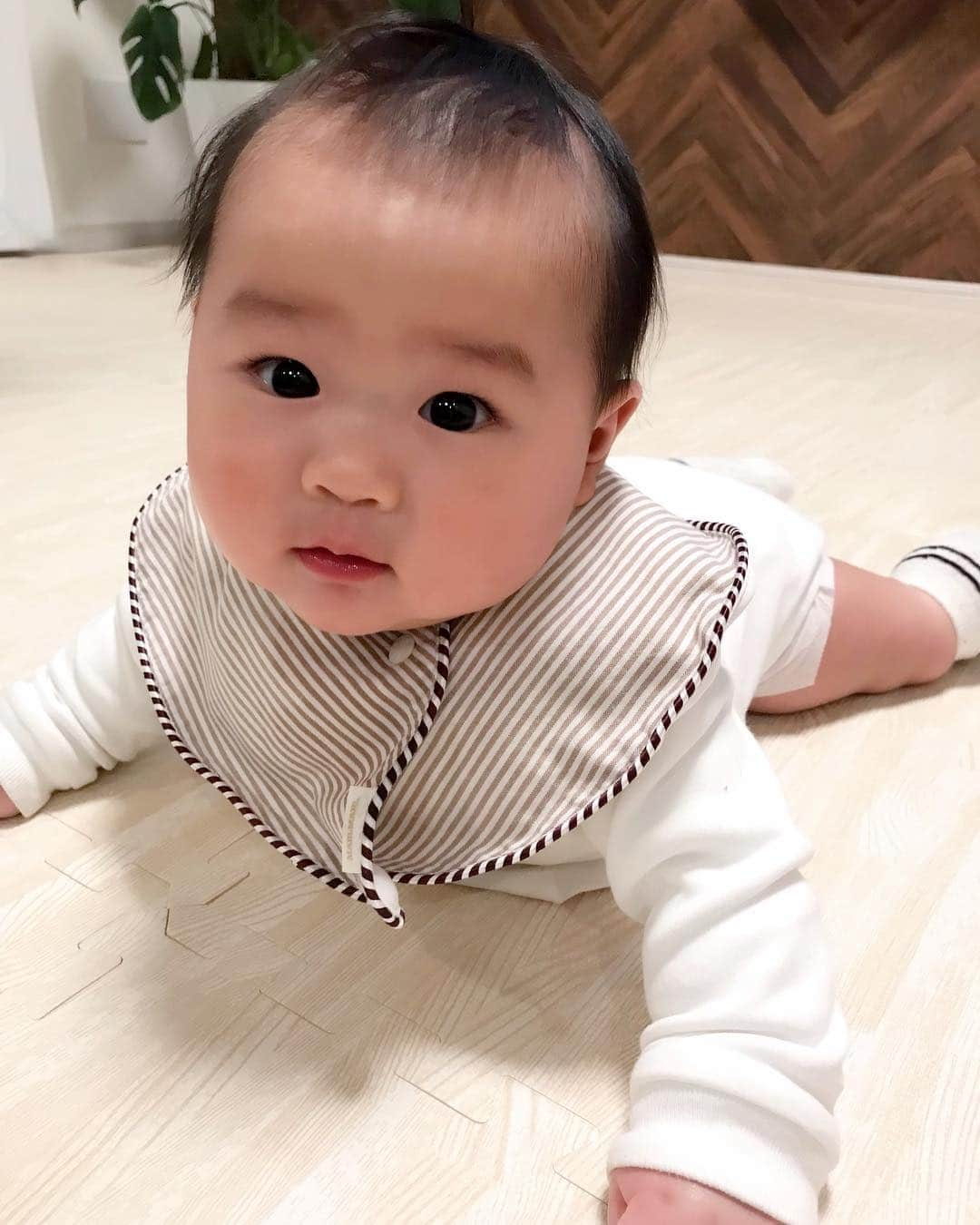 河内麻沙美さんのインスタグラム写真 - (河内麻沙美Instagram)「#babyboy 👶🏻 . . 寝返り〜寝返り返りもあっという間に制覇して、最近コロコロコロコロ転がってます😂‼️ . LILIの赤ちゃんの頃にほんとそっくり❤️ ついついsnowで遊んじゃった🥰 . #生後168日#生後5ヶ月#10月生まれ#成長記録#RIKU#赤ちゃん#ベビー#男の子#親バカ部#ママリ#コドモノ#ベビフル#ベビリトル#コドモダカラ#コノビー#イットママ#0歳#赤ちゃんのいる生活#ママと娘#寝返り#baby#instababy#ig_baby#mamanokoカメラ部#mamagirl」4月5日 21時27分 - masamikouchi