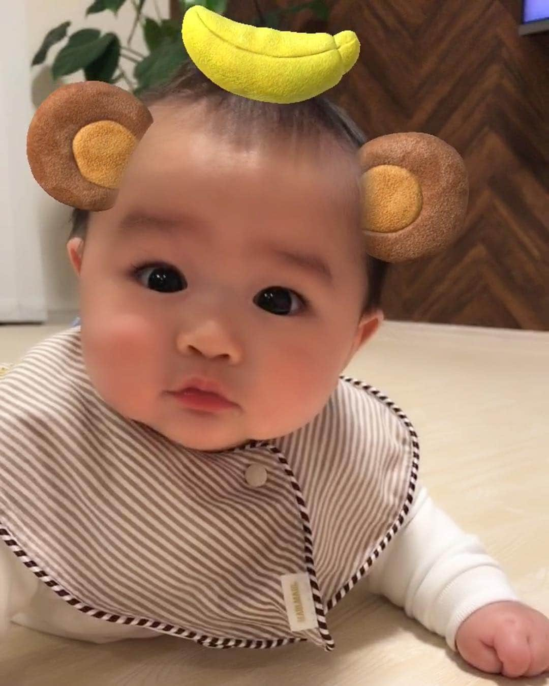 河内麻沙美さんのインスタグラム写真 - (河内麻沙美Instagram)「#babyboy 👶🏻 . . 寝返り〜寝返り返りもあっという間に制覇して、最近コロコロコロコロ転がってます😂‼️ . LILIの赤ちゃんの頃にほんとそっくり❤️ ついついsnowで遊んじゃった🥰 . #生後168日#生後5ヶ月#10月生まれ#成長記録#RIKU#赤ちゃん#ベビー#男の子#親バカ部#ママリ#コドモノ#ベビフル#ベビリトル#コドモダカラ#コノビー#イットママ#0歳#赤ちゃんのいる生活#ママと娘#寝返り#baby#instababy#ig_baby#mamanokoカメラ部#mamagirl」4月5日 21時27分 - masamikouchi