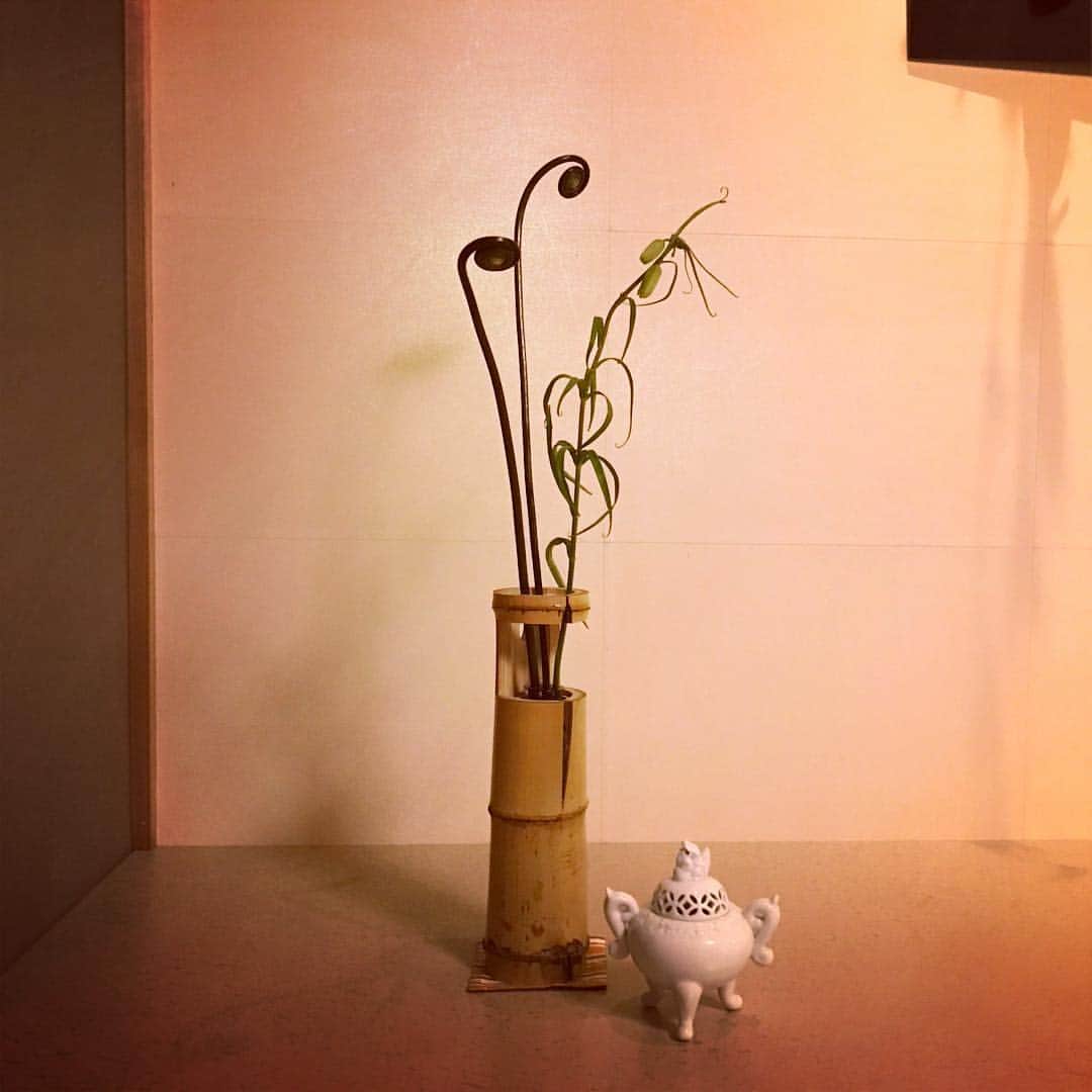 デザオ建設北野展示場さんのインスタグラム写真 - (デザオ建設北野展示場Instagram)「#花と竹細工のある暮らし展 設営完了しました。 #谷川花店 さんの  お見立てブーケを力強い #長岡銘竹 の真下さんの作品や、繊細な #花ごころ  小倉さんの作品に入れて、とこしえのあちらこちらに散りばめました。意外性にあふれた竹の造形と一緒に春の花を楽しんでいただける展示となっております。 まずは床の間。一輪挿しの床飾りに形の面白いゼンマイもあしらいました。 #aeru #北野白梅町 #初めての春 #つなぐモデルハウスとこしえ  #デザオ建設北野展示場  #デザオ建設 #DEZAO  #DsLABO #京都 #リノベーション #リフォーム  #リノベ #注文住宅  #家 #住宅 #建築 #暮らし #マイホーム#インテリア #デザイン #家づくり #木の家#和風モダン #上七軒」4月5日 21時29分 - dezao_kitano2018