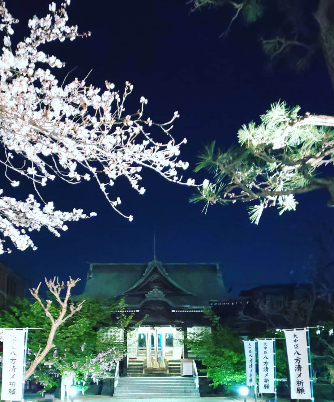 LOVE ME DOさんのインスタグラム写真 - (LOVE ME DOInstagram)「桜の素敵な神社。」4月5日 21時42分 - lovemedo_fortunteller