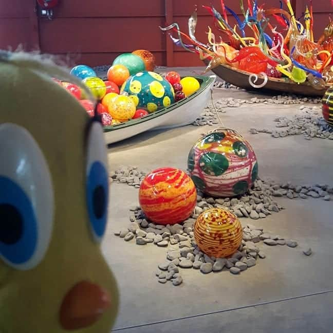 Little Yellow Birdさんのインスタグラム写真 - (Little Yellow BirdInstagram)「Beautiful exposition of Dale Chihuly's work at the Groninger Museum!! Glass, glass everywhere!! #littleyellowbird #tweety #tweetykweelapis #adventures #yellow #bird #chihuly #groningermuseum #groningen #glass #glassart #glas #art #kunst #colourful  #stuffedanimalsofinstagram #plushiesofinstagram」4月5日 21時34分 - tweetykweelapis