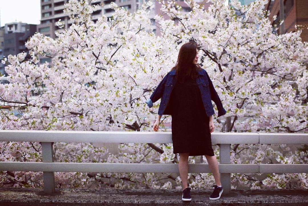 立石晴香さんのインスタグラム写真 - (立石晴香Instagram)「happy♡  #camera #spring #instagood」4月5日 21時50分 - haruka_tateishi