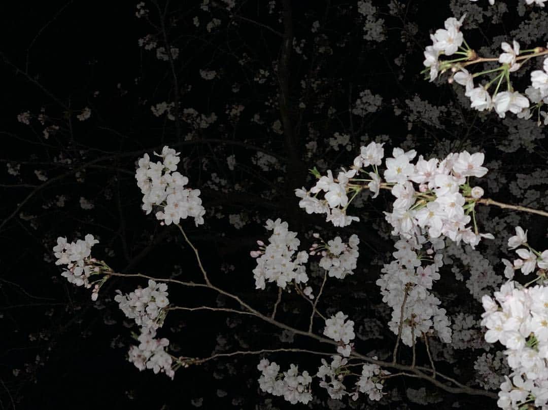 小林麗菜さんのインスタグラム写真 - (小林麗菜Instagram)「🌸 #桜 #cherryblossom」4月5日 21時44分 - reina_kobayashi