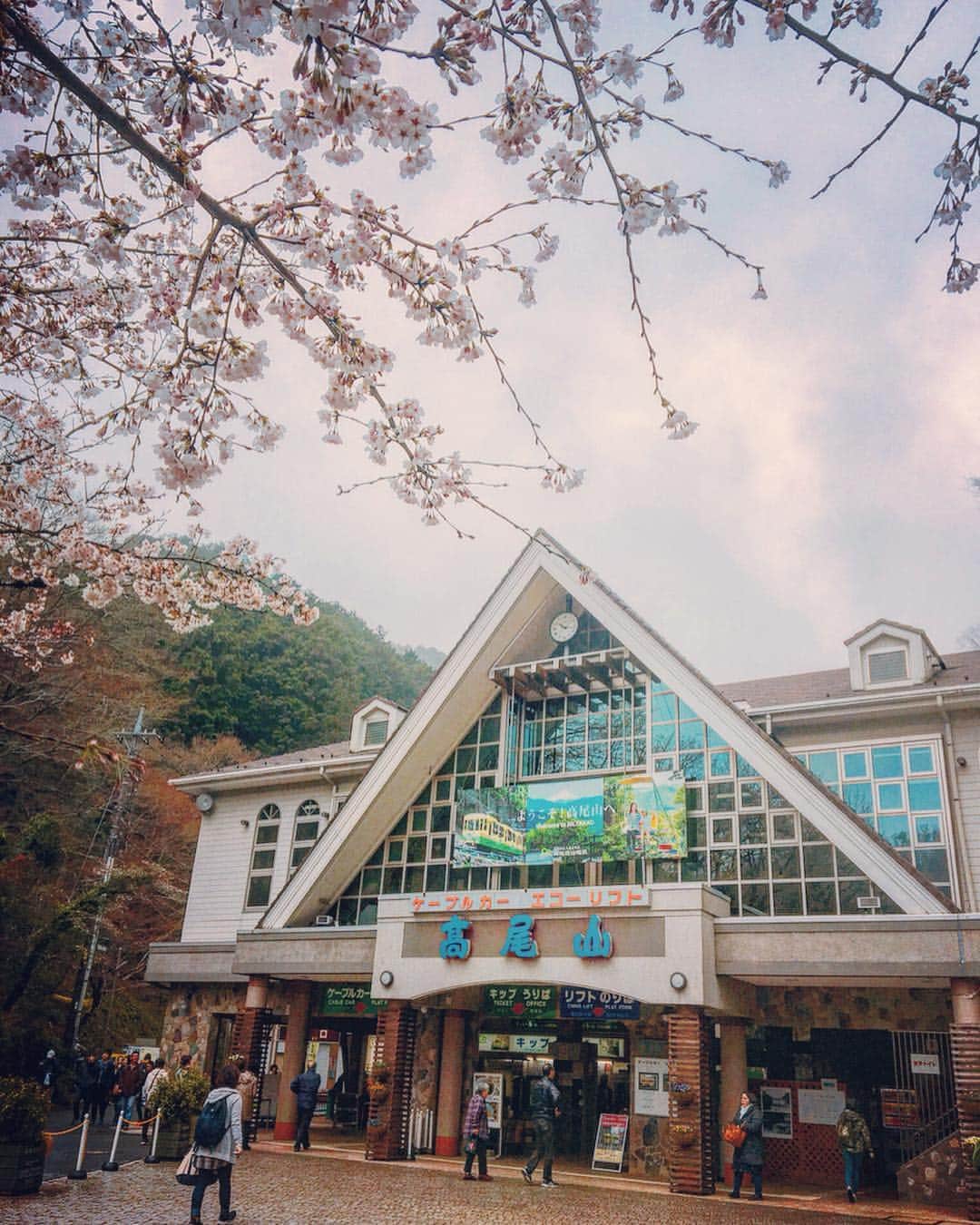 渡辺由布子さんのインスタグラム写真 - (渡辺由布子Instagram)「🚠 ・ #屋久島 #トレッキング の予行練習に、近場の#高尾山 で#ハイキング 🚶‍♀️ 桜満開で思いがけずお花見も🌸  軽い気持ちで#稲荷山 コースに臨んだら、いきなり心臓破りの階段で、二日酔いの身体には結構応えた😨  #東京都  #八王子  #多摩の魅力発信プロジェクト  #たま発  #tamahatsu  #lovehiking  #hike  #cherryblossom  #blooming  #pr 📍 #MtTakao #hachiouji #Tokyo #🇯🇵」4月5日 12時50分 - watanabe_yuko