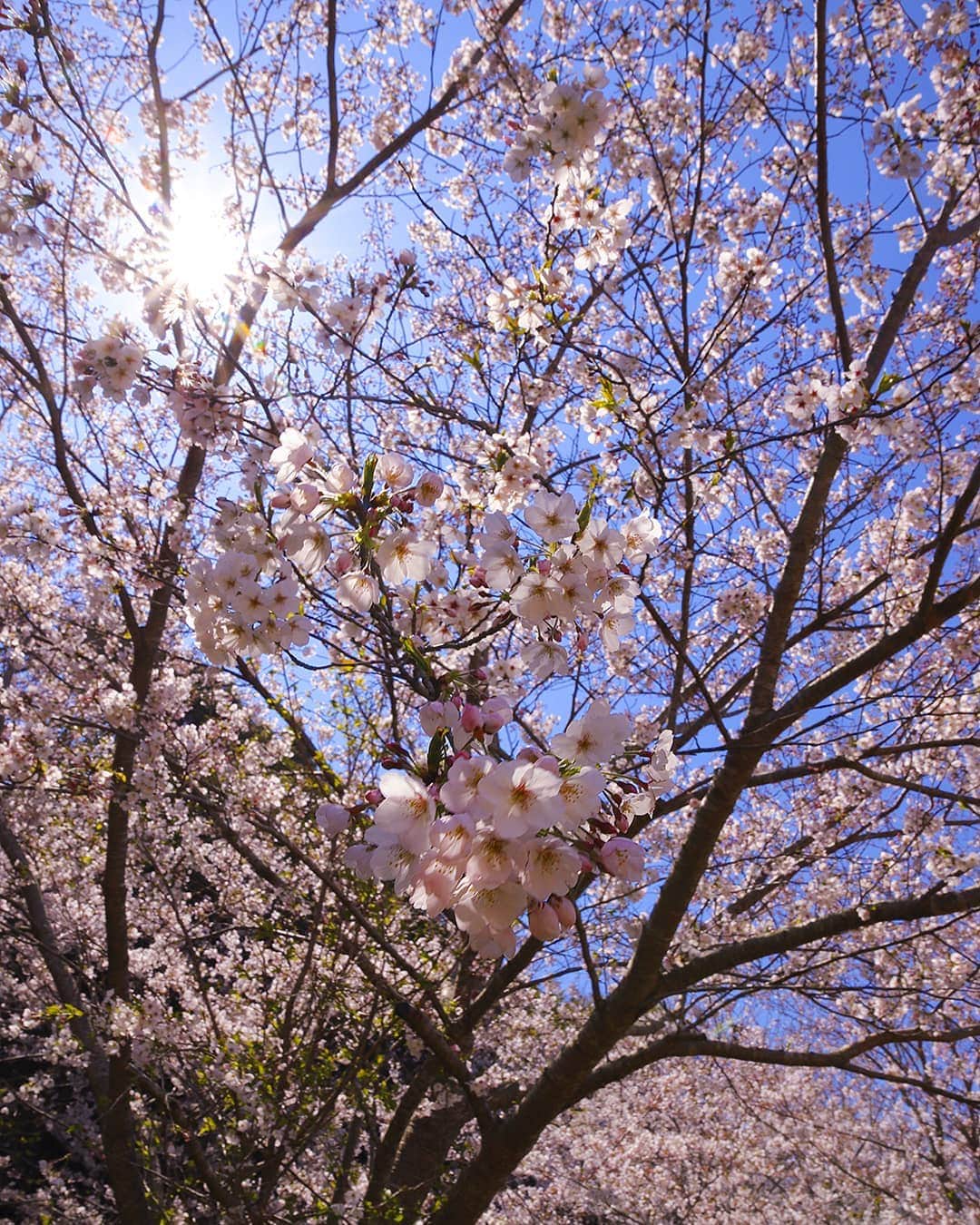 愛知県田原市のインスタグラム